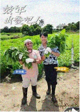 综艺现场 五分钟极限换发型